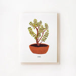 Jade Plant Card