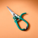 Shears