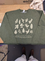 Evergreens of North America Sweatshirt - Army Green