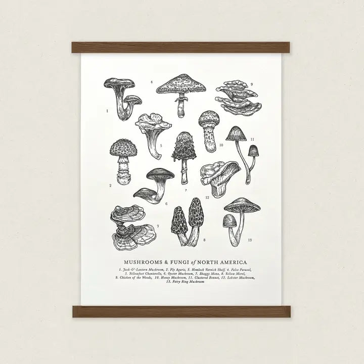 Mushrooms & Fungi Letterpress Print