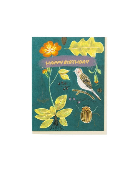 Nature Specimens Card