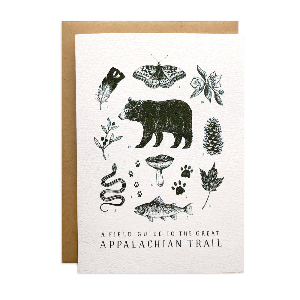 Field Guide Greeting Cards