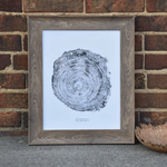 Bald Cypress Print