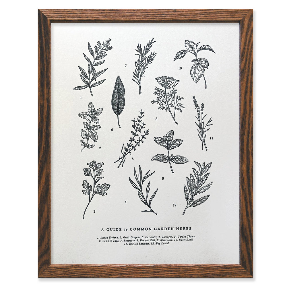 Guide to Garden Herbs Print