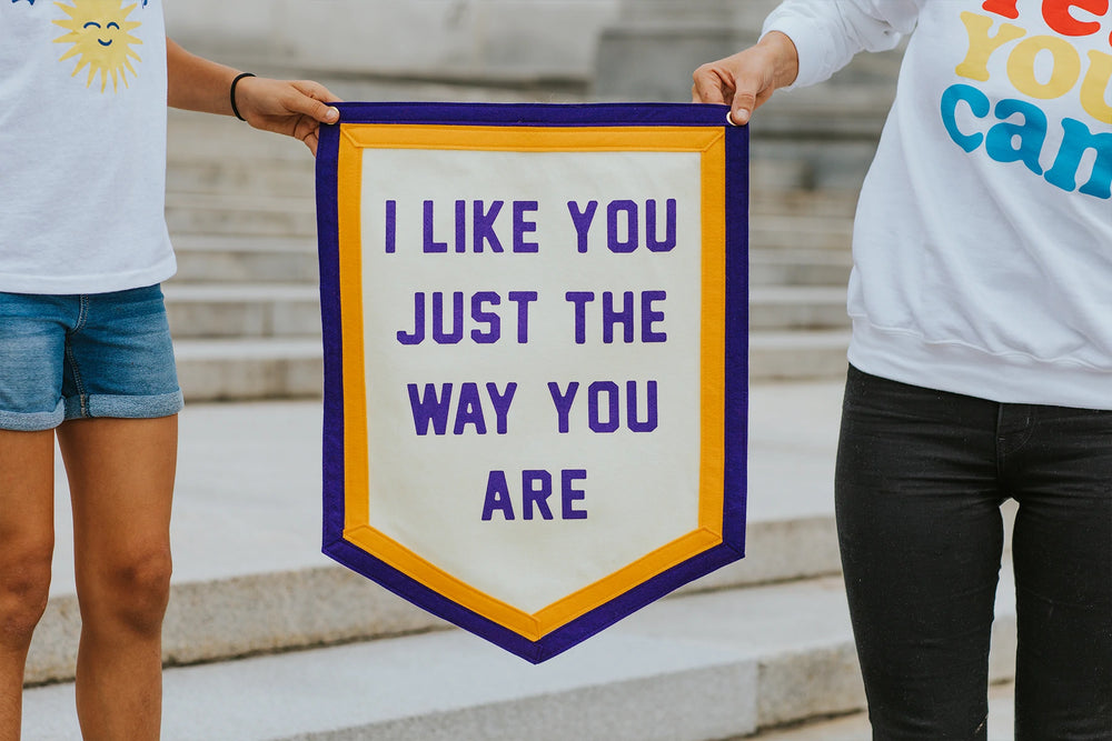 I Like You Just The Way You Are Camp Flag