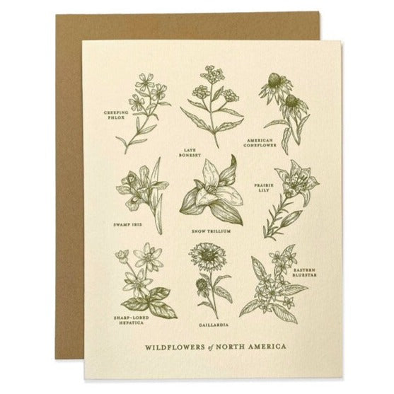 Wildflowers of North America Card