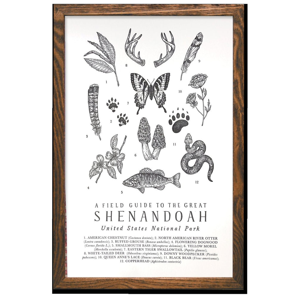 Shenandoah National Park Field Guide Print