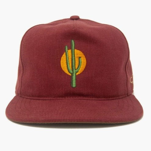 Sunset Cactus Hat